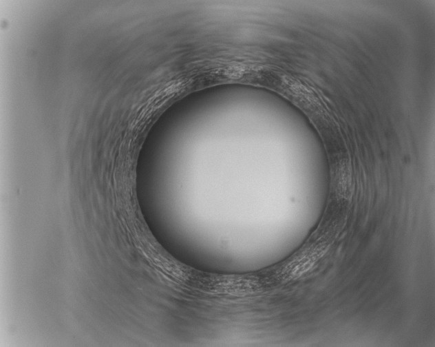 X0000059041105200510171841