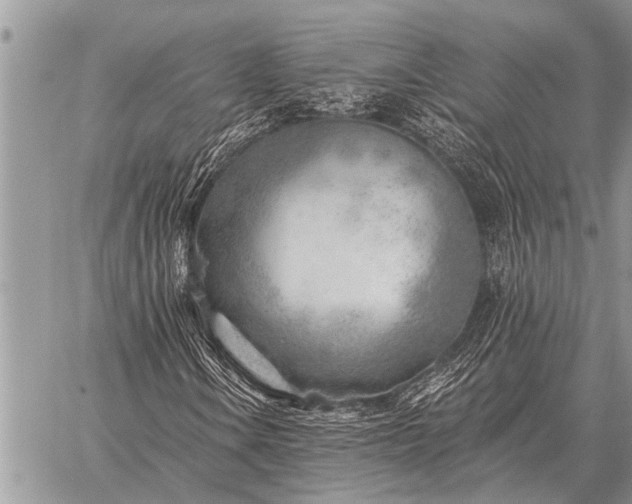 X0000059041106200510171841