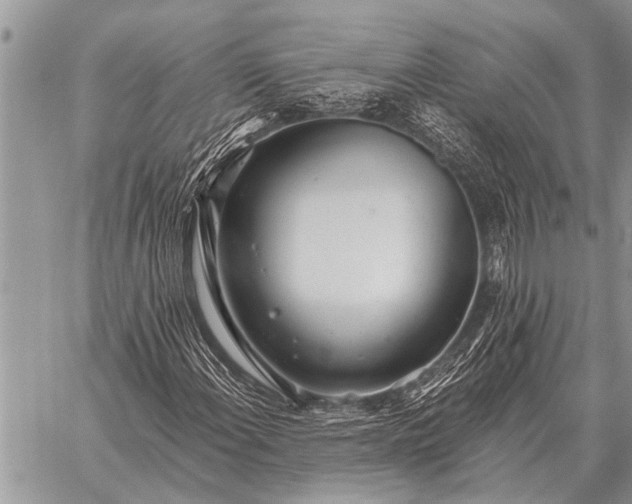 X0000059041108200510171841