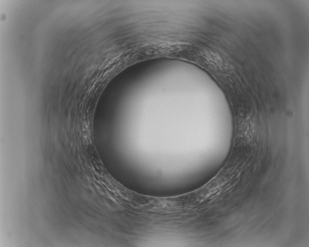 X0000059041109200510171841