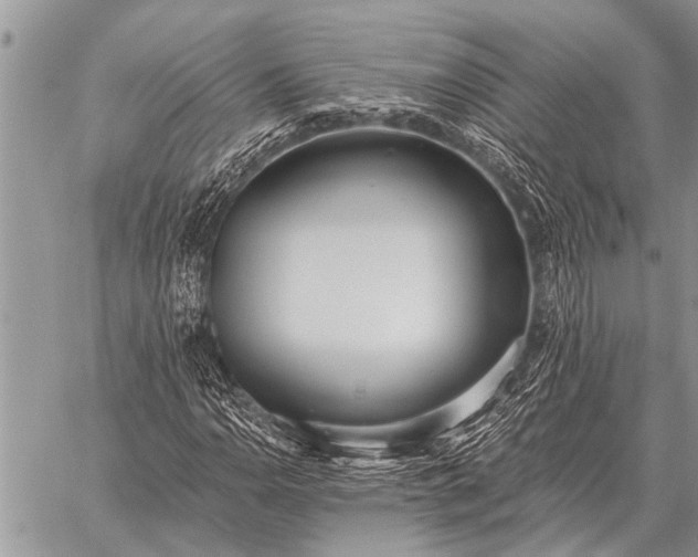 X0000059041110200510171841