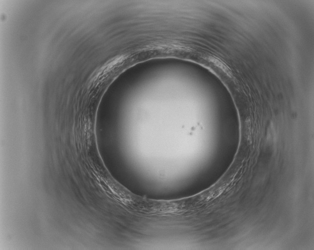 X0000059041111200510171841