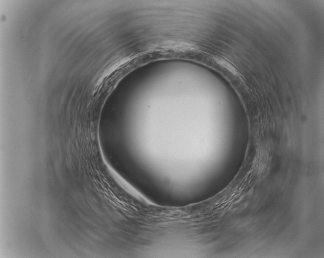 X0000059041112200510171841