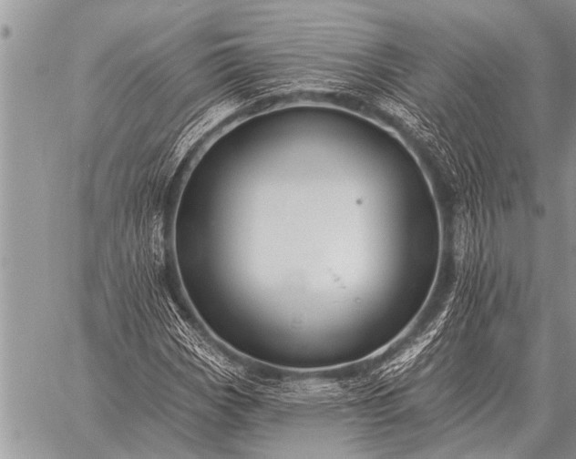 X0000059041113200510171841