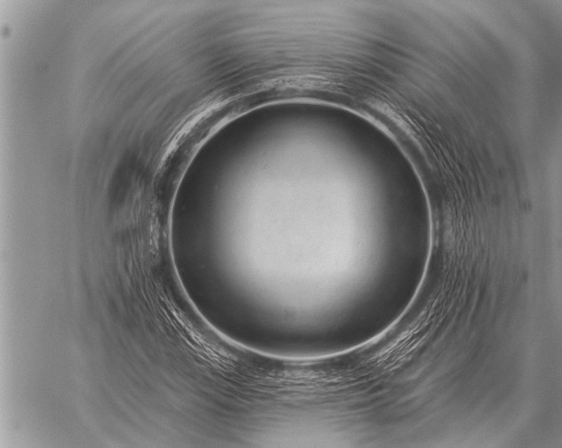 X0000059041115200510171841