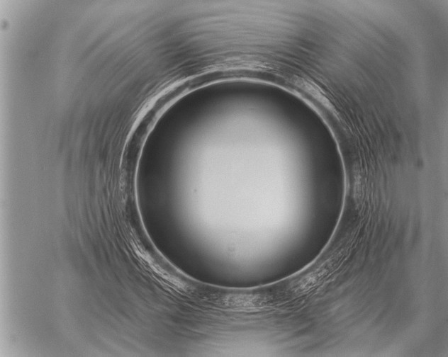 X0000059041116200510171841