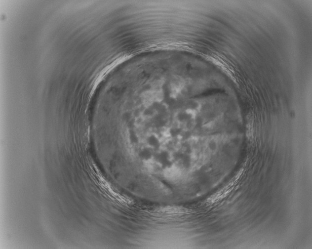 X0000059041117200510171841