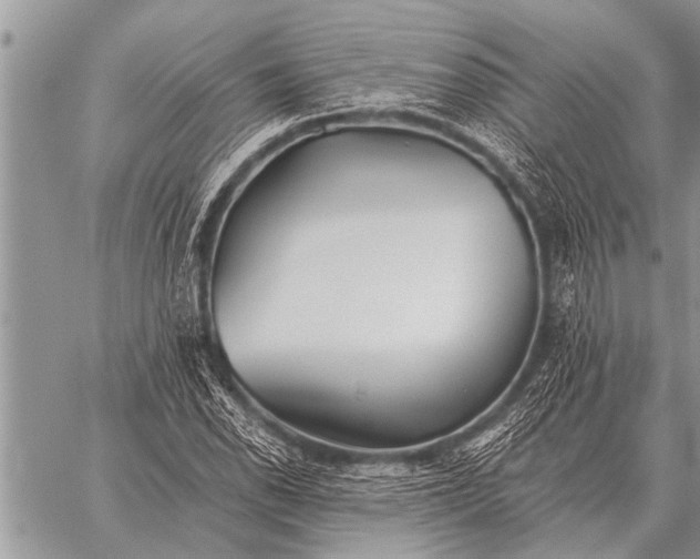 X0000059041118200510171841