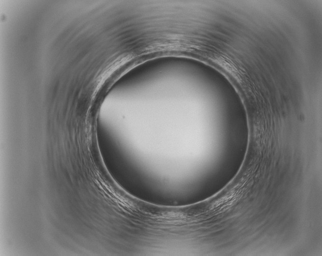 X0000059041119200510171841