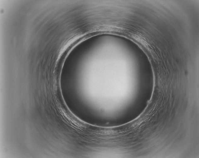 X0000059041120200510171842