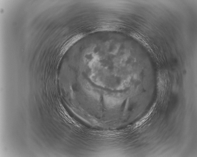 X0000059041121200510171842