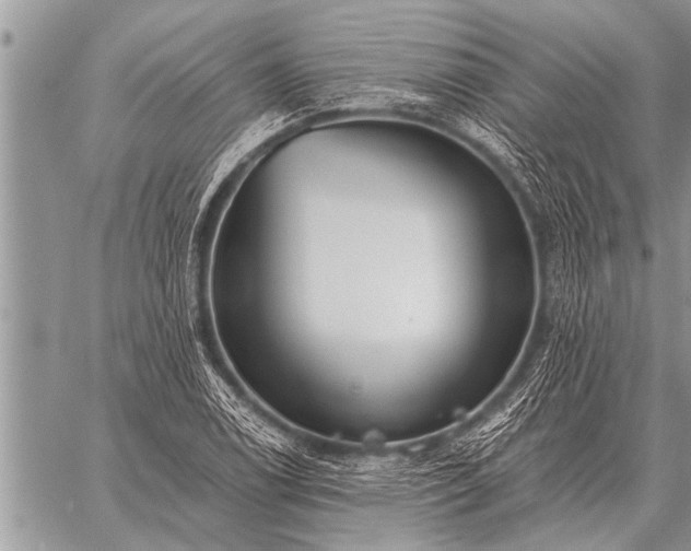 X0000059041122200510171842