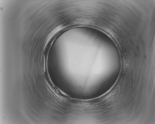 X0000059041123200510171842