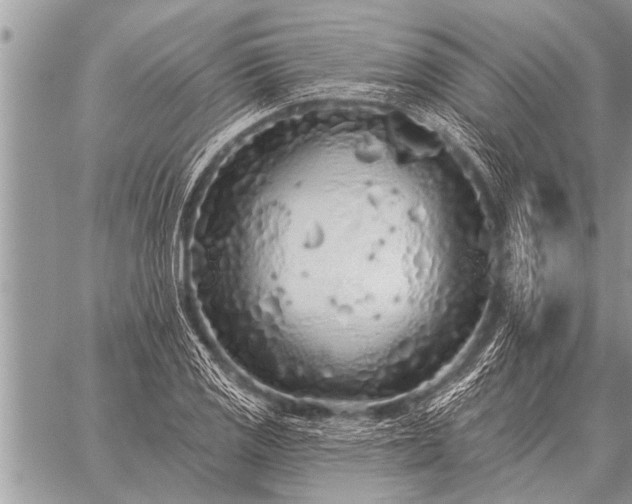 X0000059041125200510171842