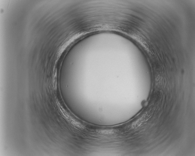 X0000059041126200510171842