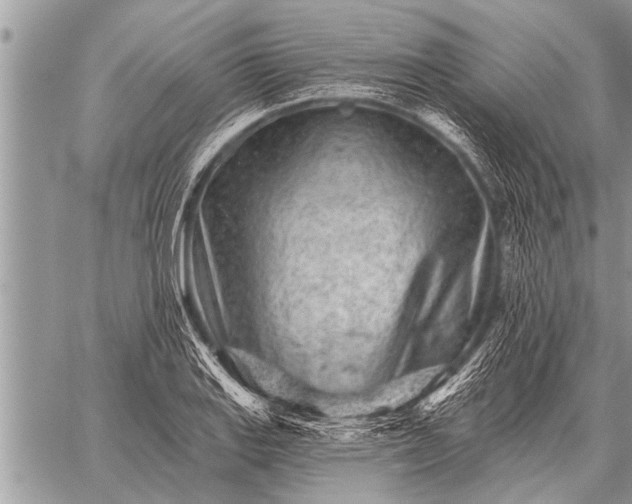 X0000059041127200510171842