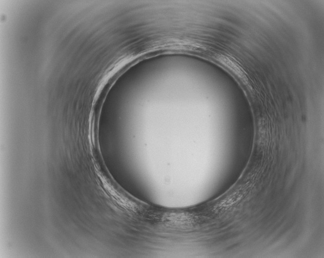 X0000059041128200510171842