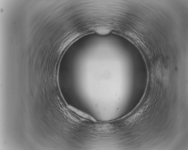 X0000059041129200510171842