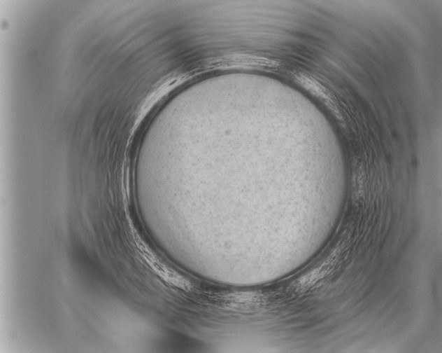 X0000059041130200510171842