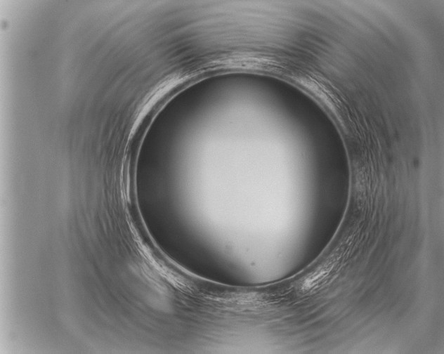 X0000059041131200510171842