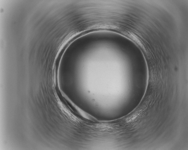 X0000059041132200510171842