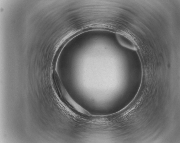 X0000059041133200510171842