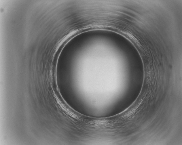 X0000059041134200510171842