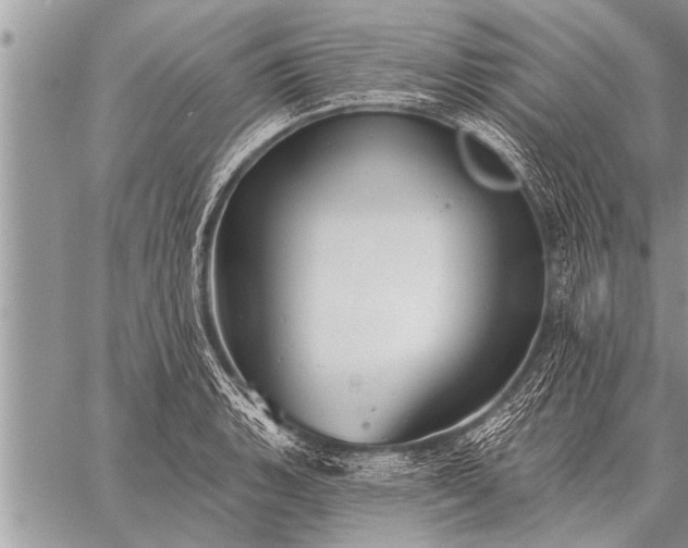 X0000059041135200510171842