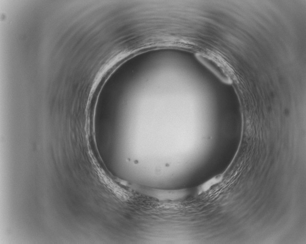 X0000059041136200510171842