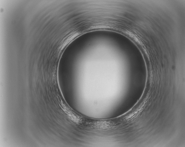 X0000059041137200510171842