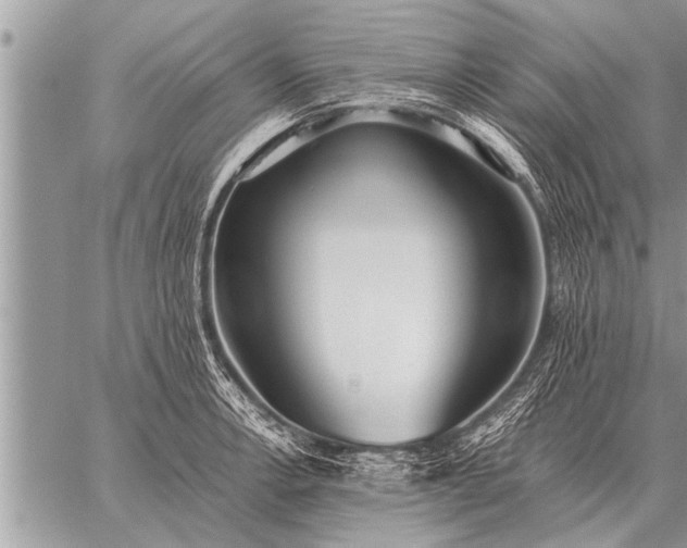 X0000059041138200510171842