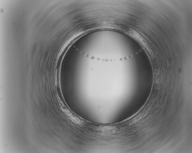 X0000059041140200510171842