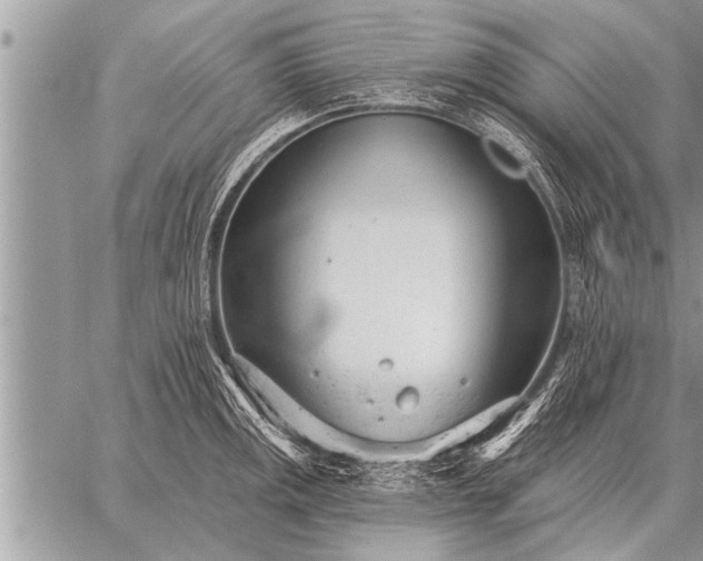 X0000059041141200510171842