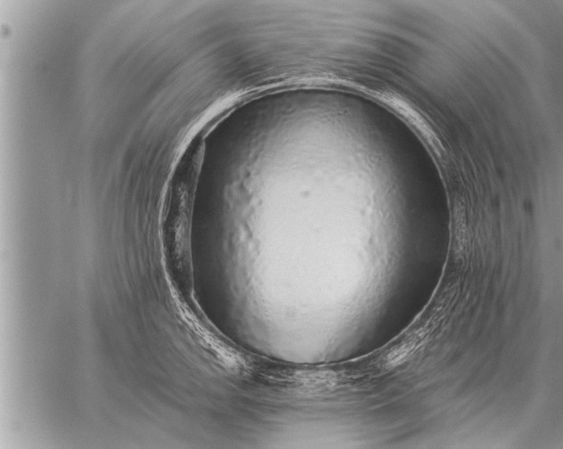 X0000059041142200510171842