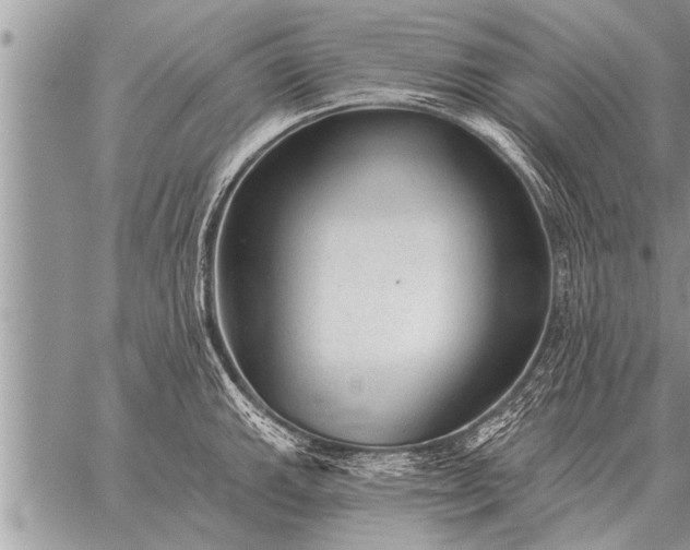 X0000059041143200510171842