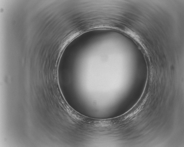 X0000059041145200510171842