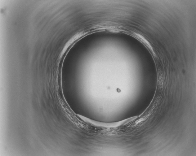 X0000059041146200510171842