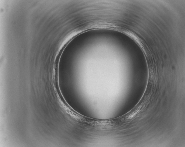 X0000059041147200510171842