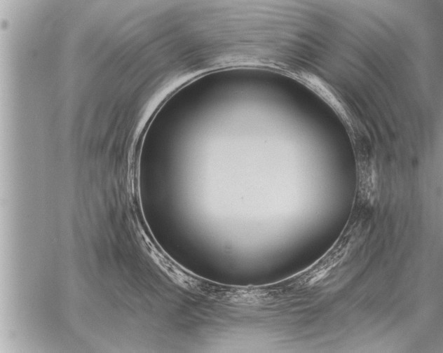 X0000059041148200510171842