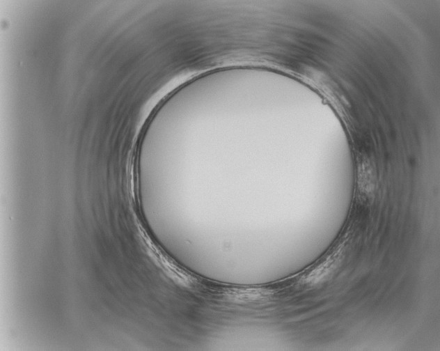 X0000059041150200510171842