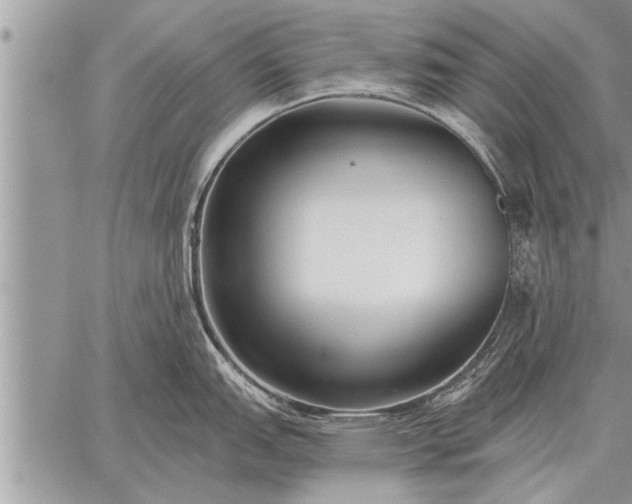 X0000059041151200510171842