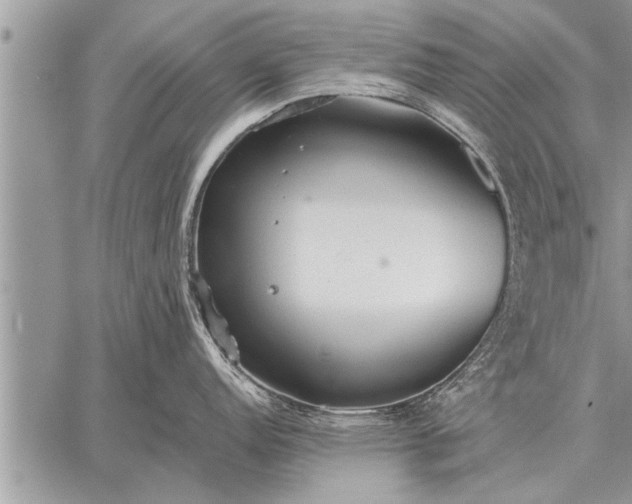 X0000059041152200510171842