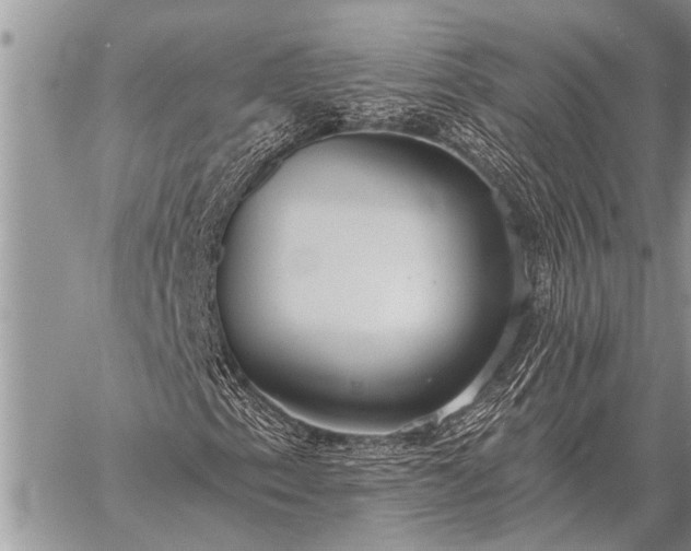 X0000059041153200510171841