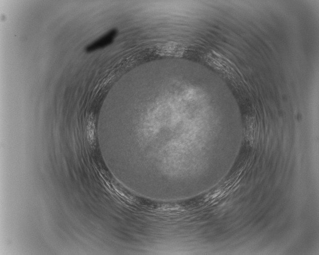 X0000059041154200510171841