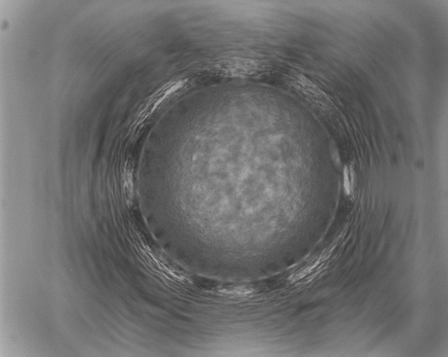 X0000059041155200510171841