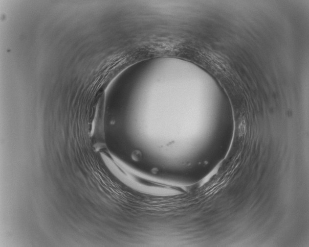 X0000059041156200510171841