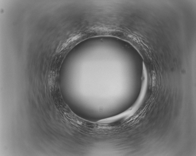 X0000059041157200510171841