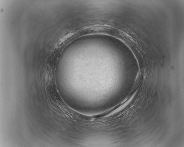 X0000059041158200510171841