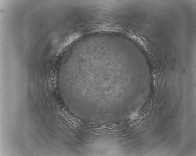 X0000059041159200510171841