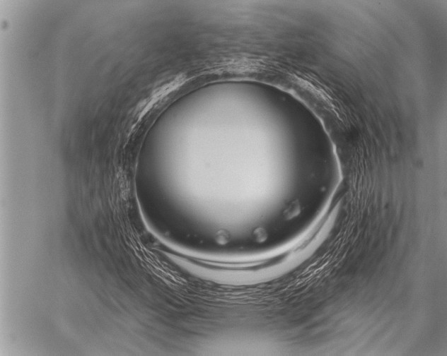 X0000059041160200510171841